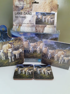 Lake District Lamb Gang Souvenir set for Kitchen and Home